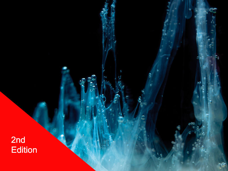 Lobo Kitapçığı 2. baskısının kapağı